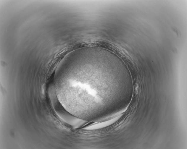 X0000091351156200708101524