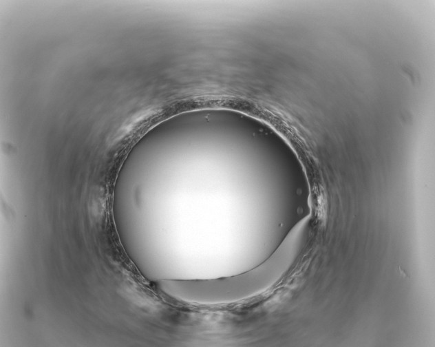 X0000091351157200708101524