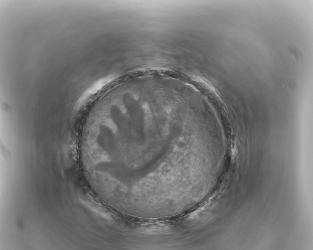 X0000091351159200708101524