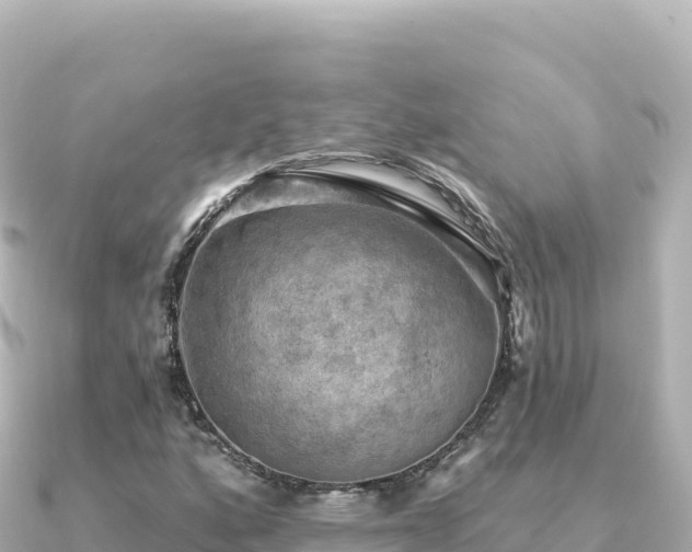 X0000091351160200708101524