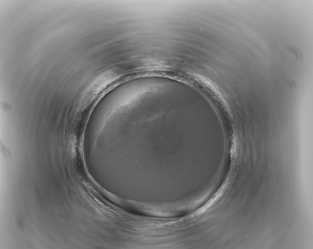 X0000091351161200708101524