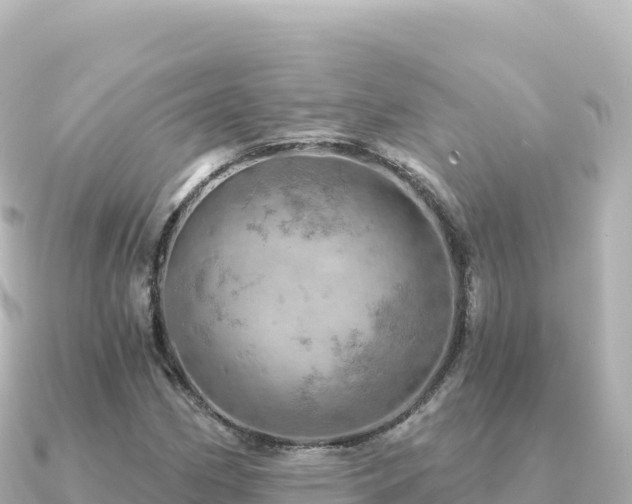 X0000091351162200708101524