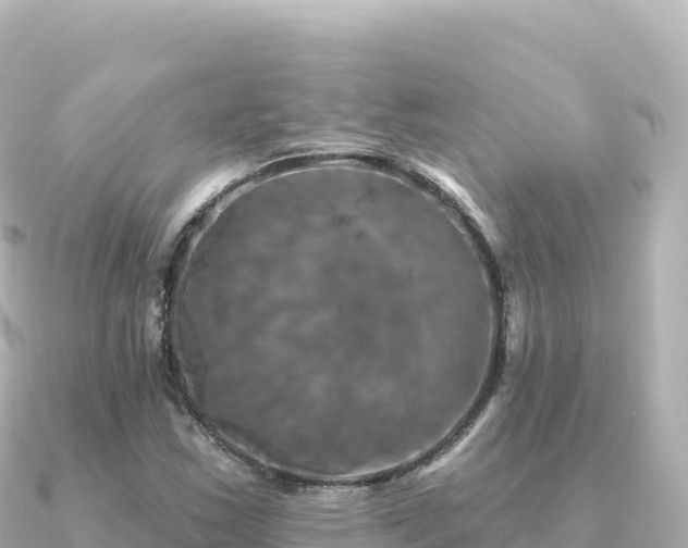 X0000091351163200708101524