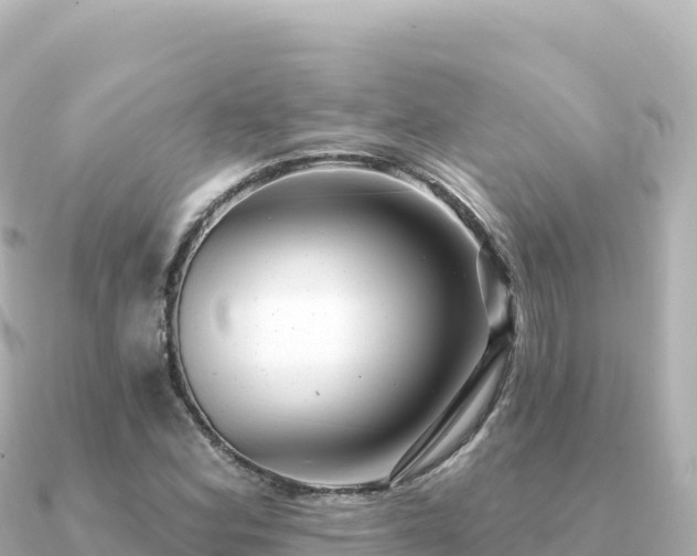 X0000091351164200708101524