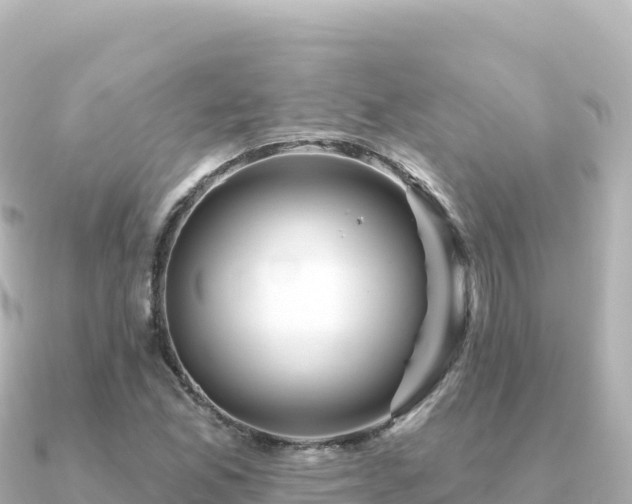 X0000091351165200708101524