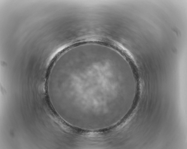 X0000091351166200708101524