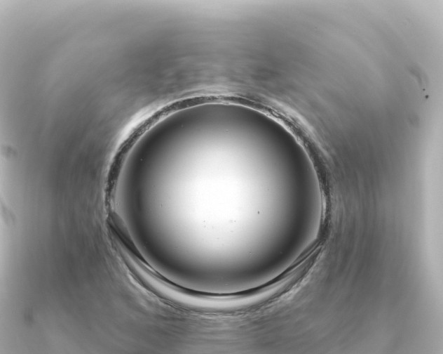 X0000091351168200708101524