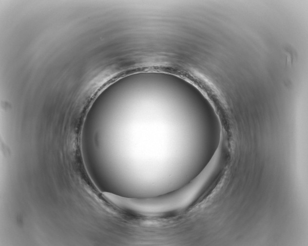 X0000091351169200708101524