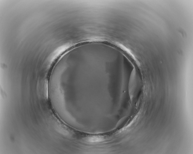 X0000091351171200708101524