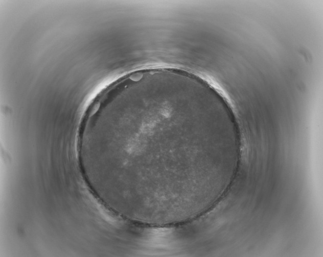 X0000091351173200708101524