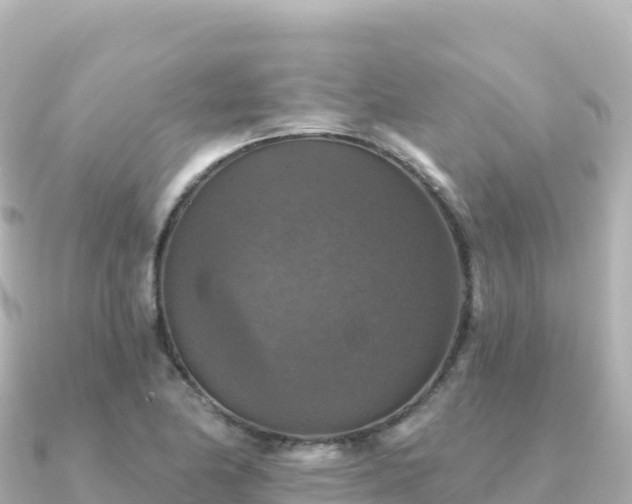 X0000091351174200708101524