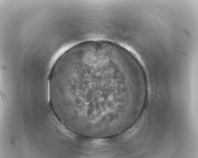 X0000091351175200708101524