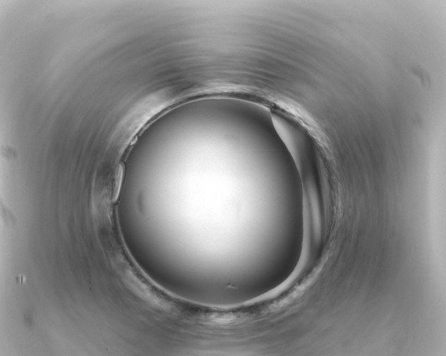 X0000091351177200708101524