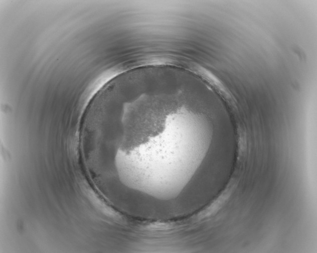 X0000091351178200708101524
