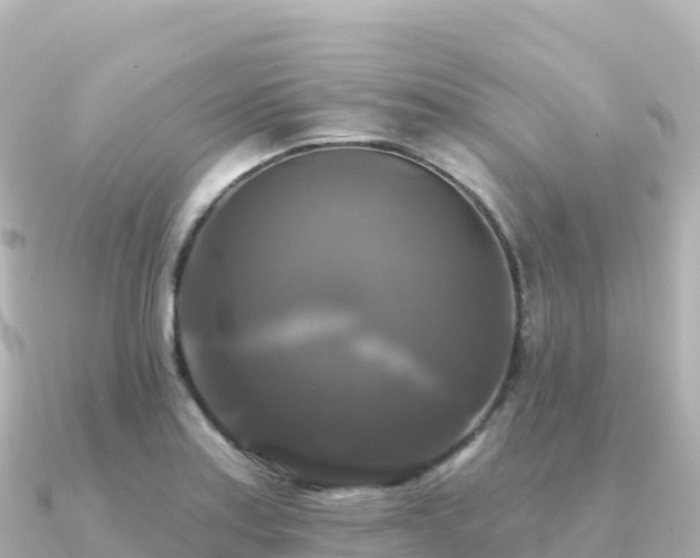 X0000091351179200708101524
