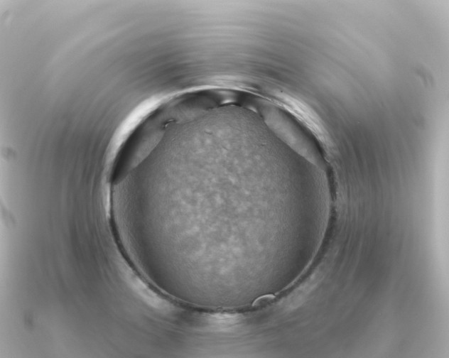 X0000091351180200708101524