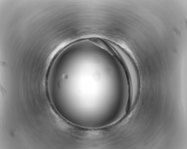 X0000091351181200708101524