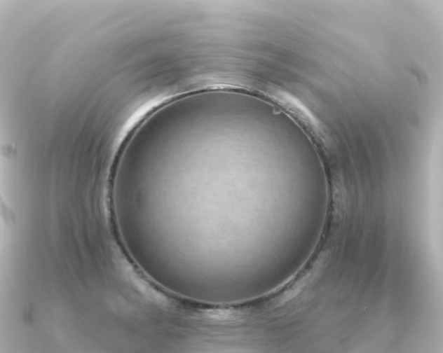 X0000091351182200708101524