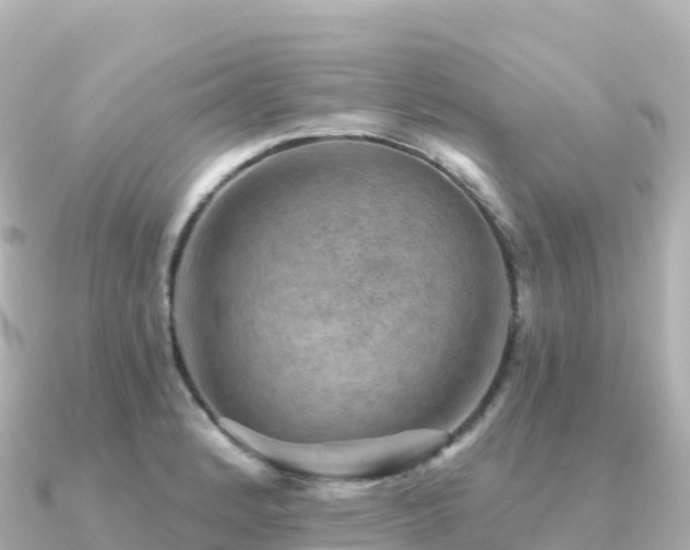 X0000091351184200708101524