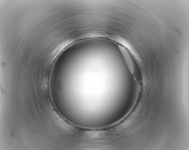 X0000091351185200708101524