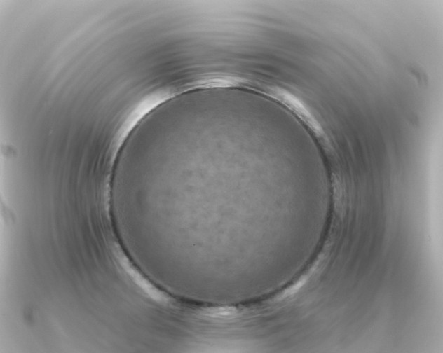 X0000091351186200708101524