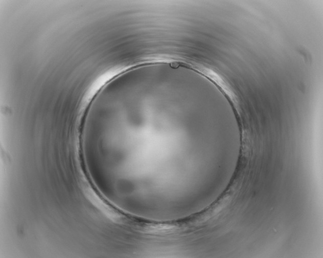 X0000091351187200708101524