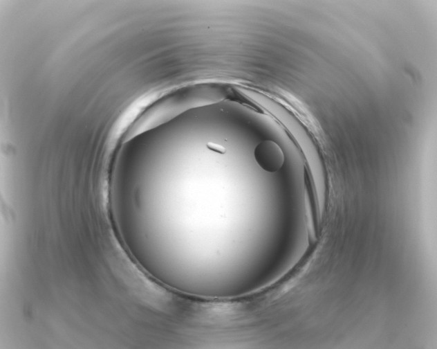 X0000091351188200708101524