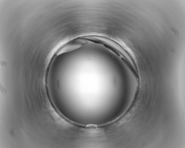 X0000091351189200708101524