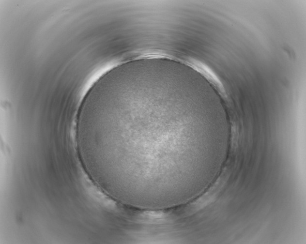 X0000091351190200708101524