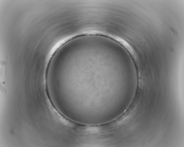 X0000091351191200708101524
