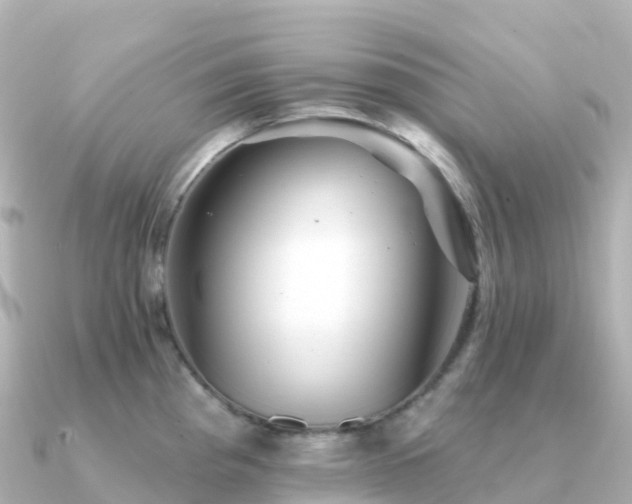 X0000091351193200708101524