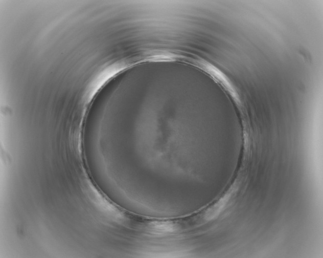 X0000091351194200708101524