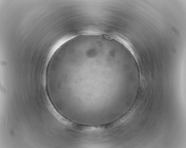 X0000091351195200708101524