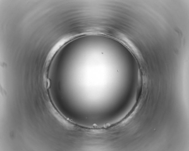 X0000091351196200708101524