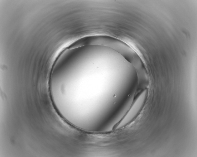 X0000091351197200708101524