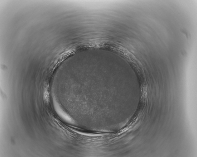 X0000091351202200708101523