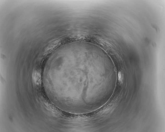 X0000091351203200708101523