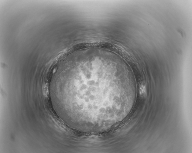 X0000091351204200708101523