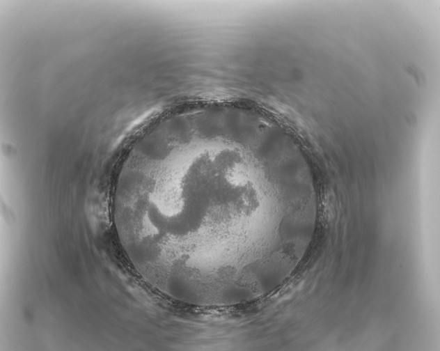 X0000091351205200708101523