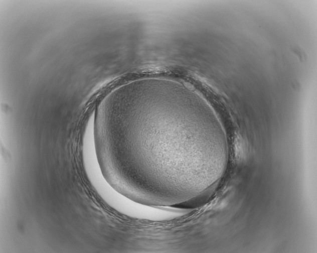 X0000091351206200708101523