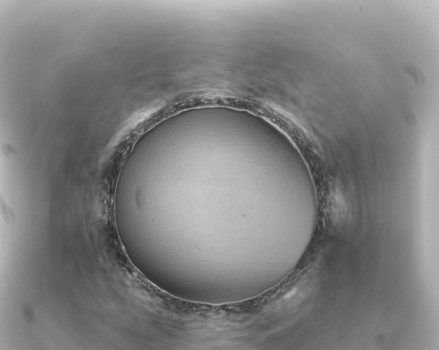 X0000091351207200708101523