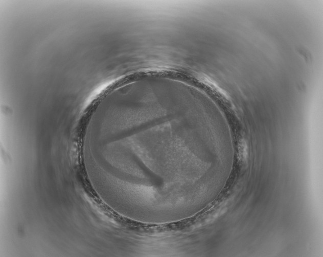 X0000091351208200708101523