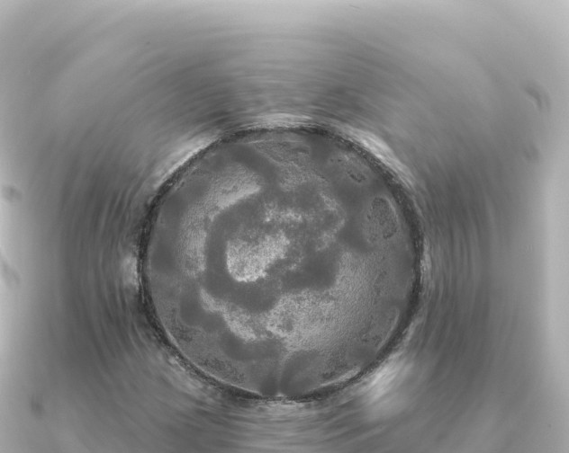 X0000091351209200708101523