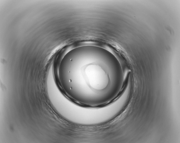 X0000091351210200708101523