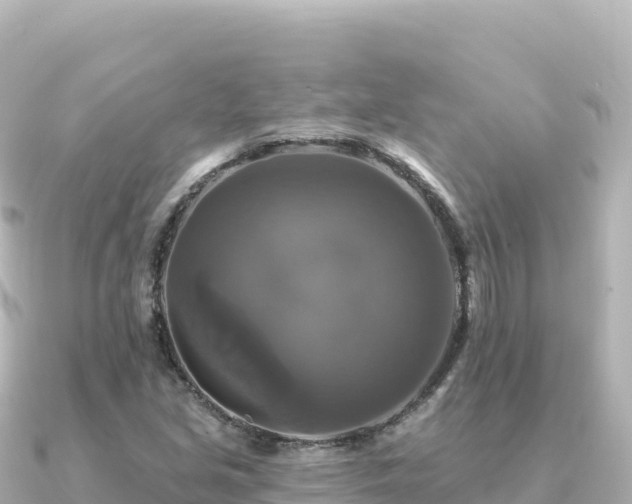 X0000091351213200708101523