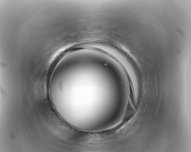 X0000091351214200708101523