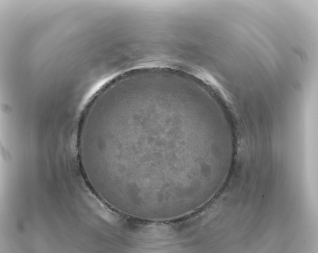 X0000091351216200708101523
