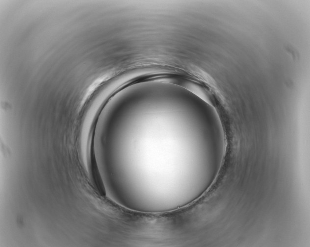 X0000091351218200708101523