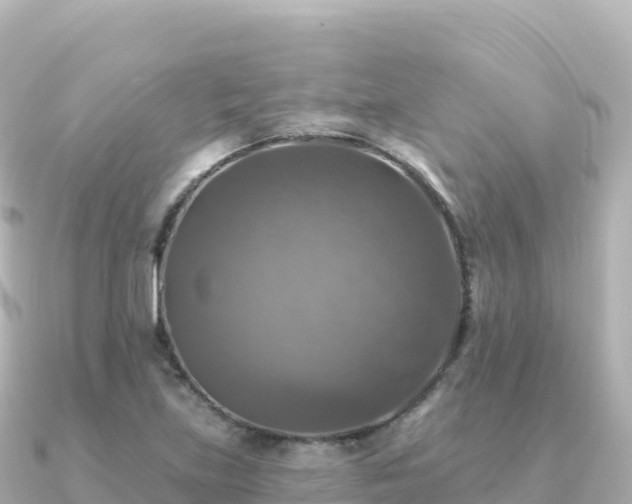 X0000091351219200708101523