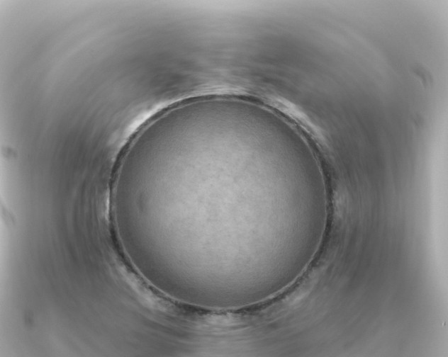 X0000091351220200708101523